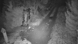 Bílá - běžecká trať