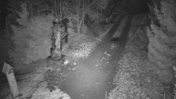 Bílá - běžecká trať