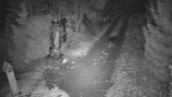 Bílá - běžecká trať