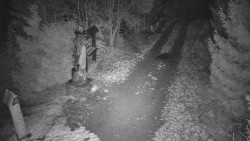 Bílá - běžecká trať