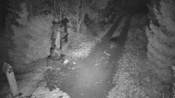 Bílá - běžecká trať