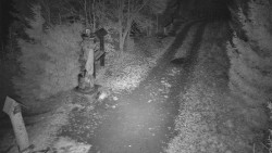 Bílá - běžecká trať