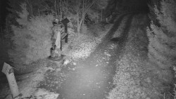 Bílá - běžecká trať