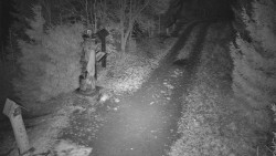 Bílá - běžecká trať