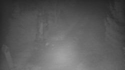 Bílá - běžecká trať