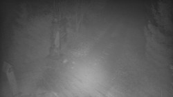 Bílá - běžecká trať