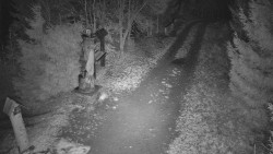 Bílá - běžecká trať