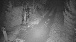 Bílá - běžecká trať