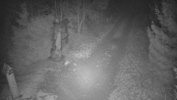 Bílá - běžecká trať