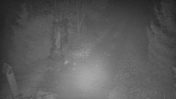 Bílá - běžecká trať