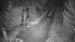 Bílá - běžecká trať