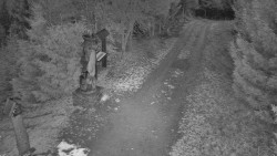 Bílá - běžecká trať