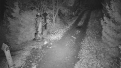 Bílá - běžecká trať