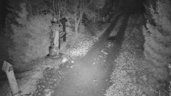 Bílá - běžecká trať