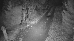 Skiareál Bílá - Bílá - běžecká trať - 11.12.2025 v 00:30 Skiareál Bílá - Bílá - běžecká trať - 11.12.2025 v 00:30