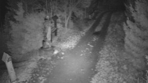 Skiareál Bílá - Bílá - běžecká trať - 11.12.2025 v 03:00 Skiareál Bílá - Bílá - běžecká trať - 11.12.2025 v 03:00