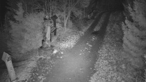 Skiareál Bílá - Bílá - běžecká trať - 11.12.2025 v 04:00 Skiareál Bílá - Bílá - běžecká trať - 11.12.2025 v 04:00