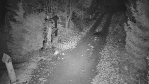 Skiareál Bílá - Bílá - běžecká trať - 11.12.2025 v 04:30 Skiareál Bílá - Bílá - běžecká trať - 11.12.2025 v 04:30