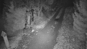 Skiareál Bílá - Bílá - běžecká trať - 11.12.2025 v 05:00 Skiareál Bílá - Bílá - běžecká trať - 11.12.2025 v 05:00