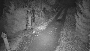 Skiareál Bílá - Bílá - běžecká trať - 11.12.2025 v 05:30 Skiareál Bílá - Bílá - běžecká trať - 11.12.2025 v 05:30