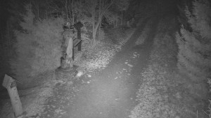 Skiareál Bílá - Bílá - běžecká trať - 11.12.2025 v 06:00 Skiareál Bílá - Bílá - běžecká trať - 11.12.2025 v 06:00