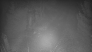 Skiareál Bílá - Bílá - běžecká trať - 11.12.2025 v 06:30 Skiareál Bílá - Bílá - běžecká trať - 11.12.2025 v 06:30