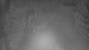 Skiareál Bílá - Bílá - běžecká trať - 11.12.2025 v 07:00 Skiareál Bílá - Bílá - běžecká trať - 11.12.2025 v 07:00