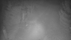 Bílá - běžecká trať