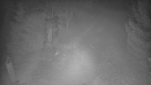 Skiareál Bílá - Bílá - běžecká trať - 11.12.2025 v 16:30 Skiareál Bílá - Bílá - běžecká trať - 11.12.2025 v 16:30