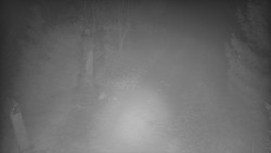 Bílá - běžecká trať