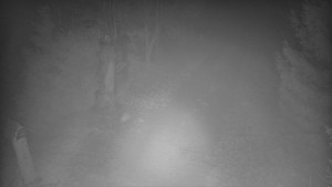 Skiareál Bílá - Bílá - běžecká trať - 11.12.2025 v 17:00 Skiareál Bílá - Bílá - běžecká trať - 11.12.2025 v 17:00