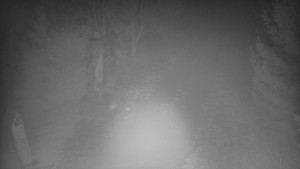 Skiareál Bílá - Bílá - běžecká trať - 11.12.2025 v 17:30 Skiareál Bílá - Bílá - běžecká trať - 11.12.2025 v 17:30