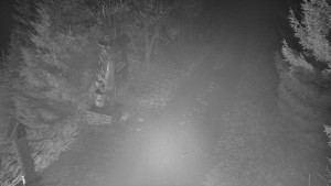 Skiareál Bílá - Bílá - běžecká trať - 11.12.2025 v 18:00 Skiareál Bílá - Bílá - běžecká trať - 11.12.2025 v 18:00