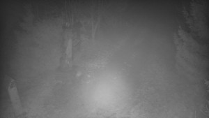 Skiareál Bílá - Bílá - běžecká trať - 11.12.2025 v 18:30 Skiareál Bílá - Bílá - běžecká trať - 11.12.2025 v 18:30