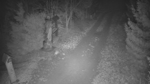 Skiareál Bílá - Bílá - běžecká trať - 11.12.2025 v 19:00 Skiareál Bílá - Bílá - běžecká trať - 11.12.2025 v 19:00