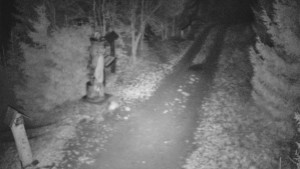 Skiareál Bílá - Bílá - běžecká trať - 11.12.2025 v 19:30 Skiareál Bílá - Bílá - běžecká trať - 11.12.2025 v 19:30