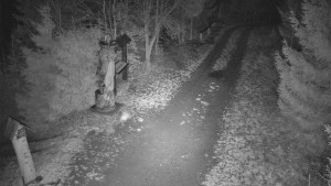 Skiareál Bílá - Bílá - běžecká trať - 11.12.2025 v 20:30 Skiareál Bílá - Bílá - běžecká trať - 11.12.2025 v 20:30