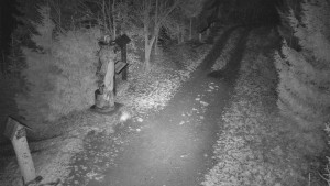 Skiareál Bílá - Bílá - běžecká trať - 11.12.2025 v 21:00 Skiareál Bílá - Bílá - běžecká trať - 11.12.2025 v 21:00