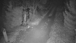 Bílá - běžecká trať