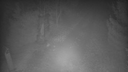 Bílá - běžecká trať