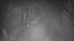 Bílá - běžecká trať