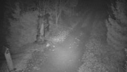 Bílá - běžecká trať