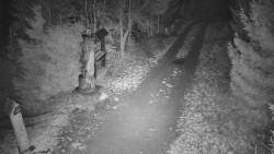 Bílá - běžecká trať