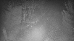 Bílá - běžecká trať