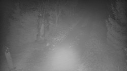 Bílá - běžecká trať