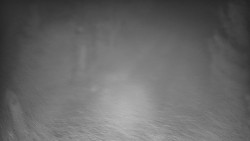 Bílá - běžecká trať