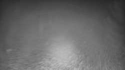 Bílá - běžecká trať