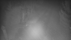 Bílá - běžecká trať