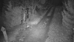 Bílá - běžecká trať