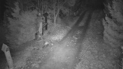 Bílá - běžecká trať